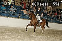 06reg14_1554 proof