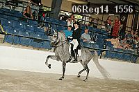 06reg14_1556 proof
