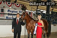 06reg14_0739 proof
