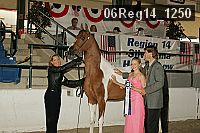 06reg14_1250 proof