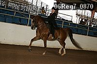06reg7_0870 proof