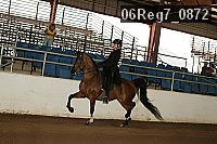 06reg7_0872 proof