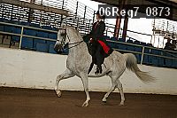 06reg7_0873 proof