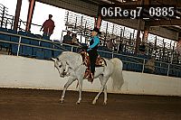 06reg7_0885 proof