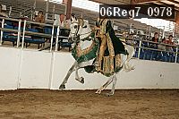 06reg7_0978 proof