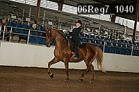 06reg7_1040 proof