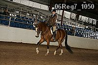 06reg7_1050 proof