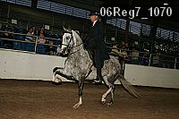 06reg7_1070 proof
