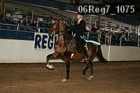 06reg7_1075 proof