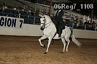 06reg7_1108 proof
