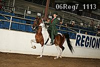 06reg7_1113 proof
