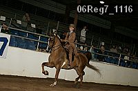 06reg7_1116 proof