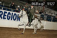 06reg7_1127 proof