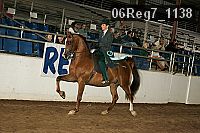 06reg7_1138 proof