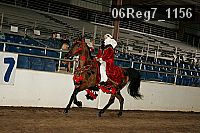 06reg7_1156 proof