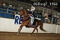 06reg7_1166 proof