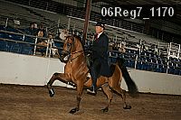 06reg7_1170 proof