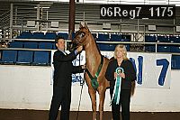 06reg7_1175 proof
