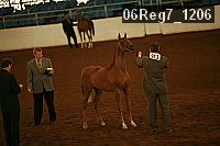 06reg7_1206 proof