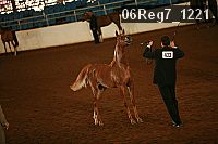06reg7_1221 proof