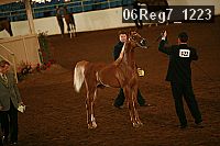 06reg7_1223 proof