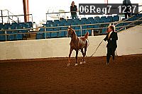06reg7_1237 proof