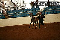06reg7_1240 proof