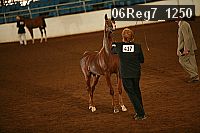06reg7_1250 proof
