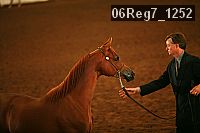 06reg7_1252 proof