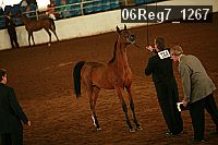 06reg7_1267 proof
