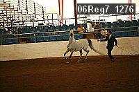 06reg7_1276 proof