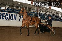 06reg7_1299 proof
