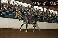 06reg7_1338 proof