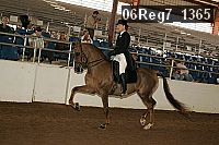 06reg7_1365 proof
