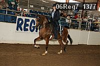 06reg7_1377 proof