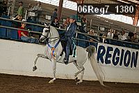 06reg7_1380 proof