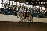 06reg7_1384 proof