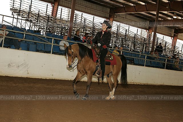 Proof 06reg7_1393