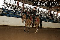 06reg7_1393 proof