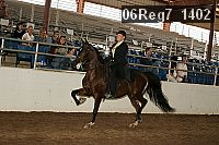 06reg7_1402 proof