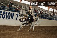 06reg7_1490 proof