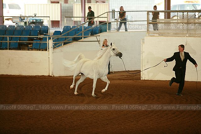 Proof 06reg7_1495