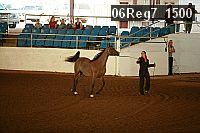 06reg7_1500 proof