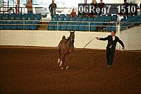 06reg7_1510 proof