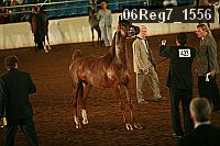 06reg7_1556 proof