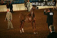 06reg7_1557 proof