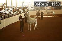 06reg7_1559 proof