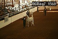 06reg7_1560 proof