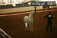 06reg7_1561 proof