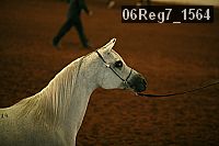 06reg7_1564 proof